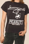 Peanuts Surf