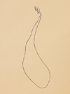 Delicate Staple Box Chain - Silver